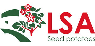 LSA