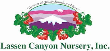 lassen-canyon-nursery-logo