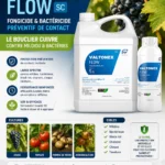 Affiche produit Valtonex — NEGANOR