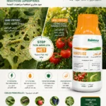Affiche produit Virtuoz — NEGANOR
